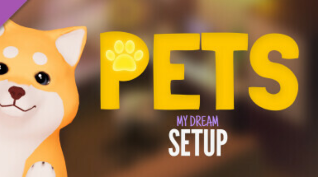 My Dream Setup Placement